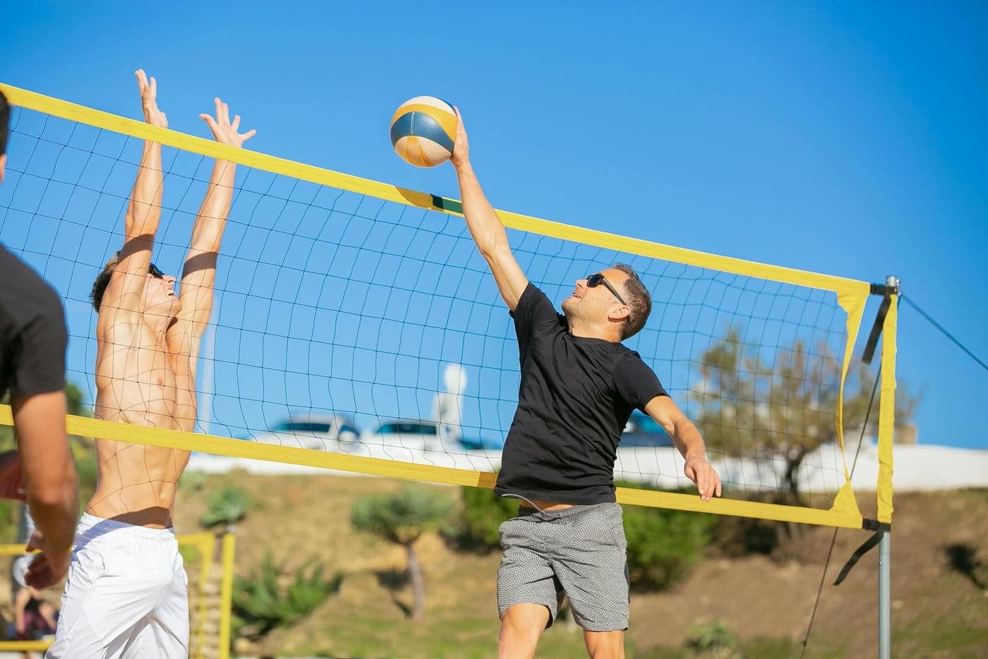 Setter delivering an assist